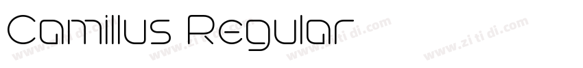 Camillus Regular字体转换